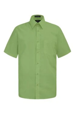 Men's Regular Fit Short Sleeve Solid Color Dress Shirts (Apple Green)