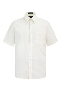 Men's Regular Fit Short Sleeve Solid Color Dress Shirts (Ivory)